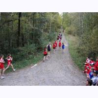 cc012 rounding the first turn.jpg 130.4K